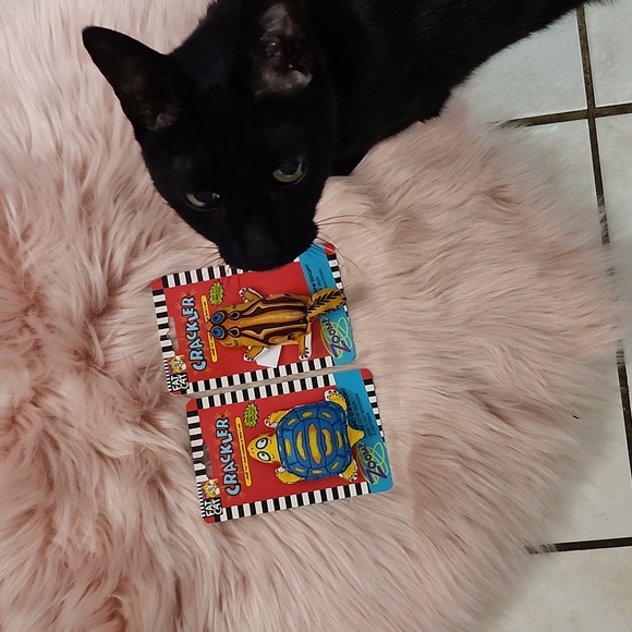 Brand New Y2K FAT CAT CRACKLER CATNIP CAT TOYS-2CT - Picture 5 of 5